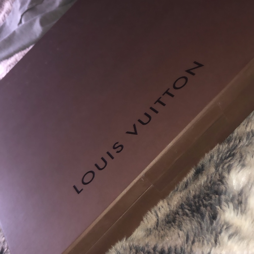 Louis Vuitton box and bag cover